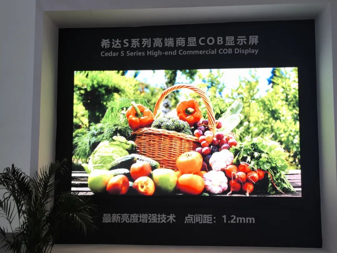 68195f4a5fdb5.jpg 68195f4a5fdb5.jpg