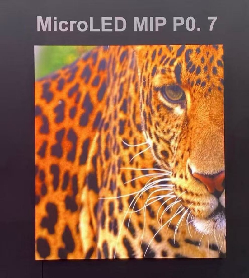 6970949cdad9a.jpg 1.jpg